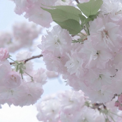 公安FurryQQ群介绍